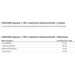 ProFuel CURCUMA Extrakt 90 Kaps.