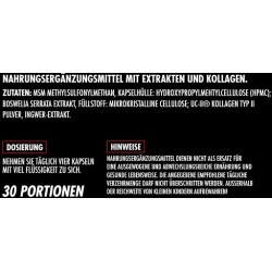Big Zone Joint Protect 2.0 120 Kapseln
