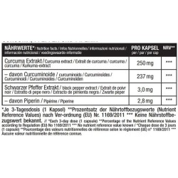 Sinob Curcumin 95% 60 Kapseln
