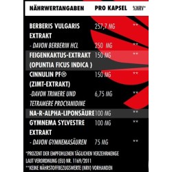 Big Zone Invictus G.D.A 90 Kapseln