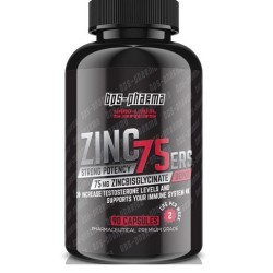 BPS-Pharma - Zinc 120 Kapseln
